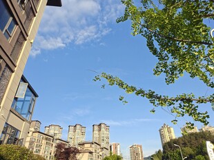 城市建筑与绿树蓝天景观