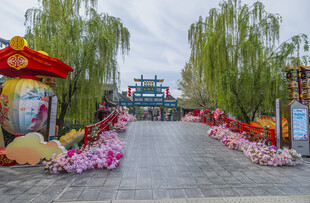春日繁花装点的热闹街道