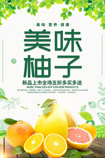 柚子海报