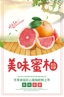 柚子海报