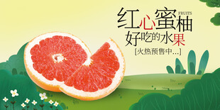 红心蜜柚
