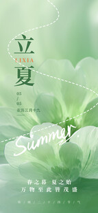 立夏海报