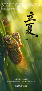 立夏海报