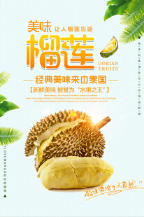 榴莲海报