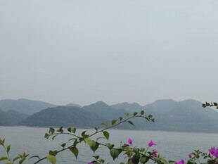 湖畔繁花伴远山美景