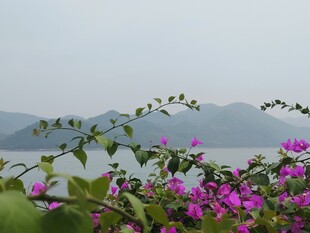 湖畔繁花伴远山美景