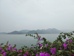湖畔繁花伴远山