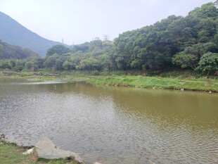 宁静湖畔自然风光