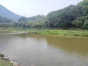 宁静湖畔自然风光