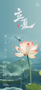 立夏海报