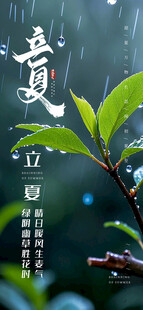 立夏海报 