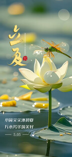 立夏海报