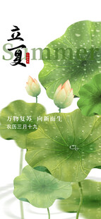 立夏海报