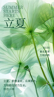 立夏海报