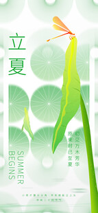 立夏海报