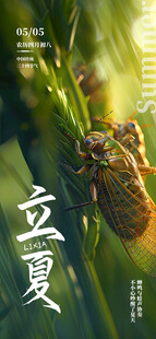 立夏海报
