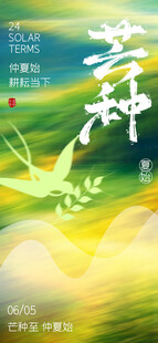 芒种海报
