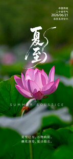 夏至海报