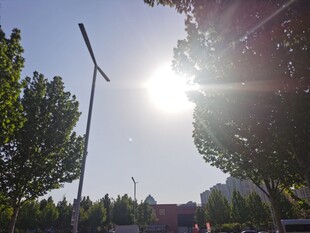 风景