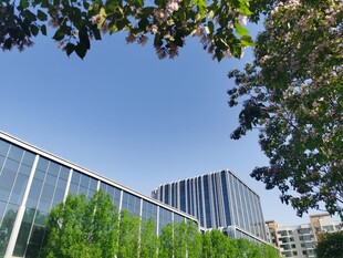 现代建筑与绿树相映成趣