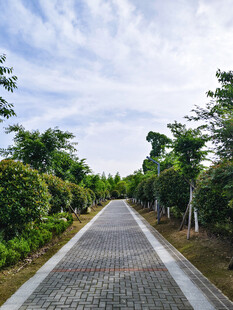 林间砖石步道