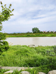 风景