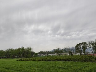 田野风光