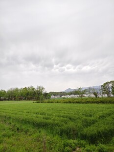 乡村广袤田园风景