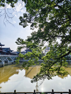 湖畔古景 绿树掩映