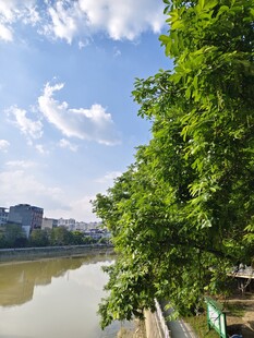 河畔绿树蓝天城市风景