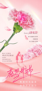母亲节