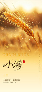小满