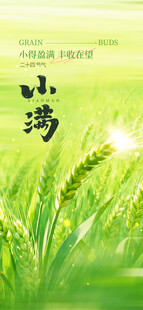 小满