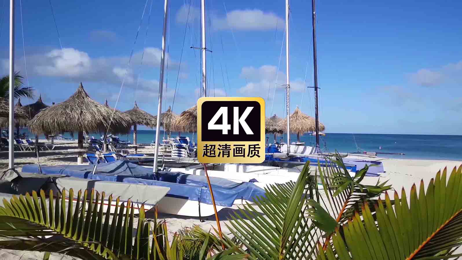 航拍热带度假村风景