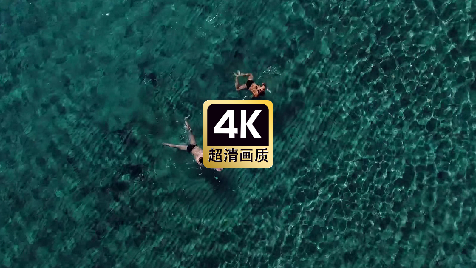 海中游泳的情侣