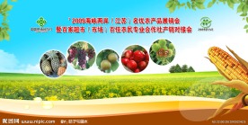 农产品展会展板
