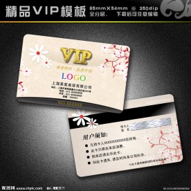 VIP模板 vip 精品VIP vip卡 美容卡 美容VIP
