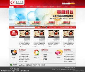 网络公司网站模板 鑫昌科技 无网页代码