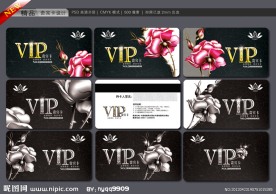 VIP卡 会员卡 贵宾卡 金卡