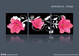 时尚鲜花无框画