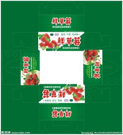 水果包装设计