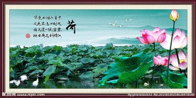 国画荷花