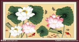 工笔荷花