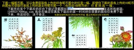 客厅装饰画