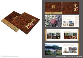 灵芝产品画册