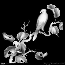 花鸟灰度图