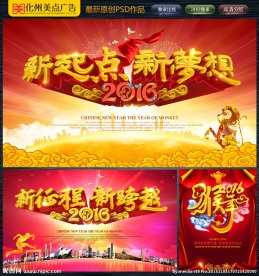 2016 猴年