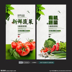 蔬菜海报