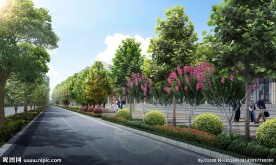 纺织路道路标准段