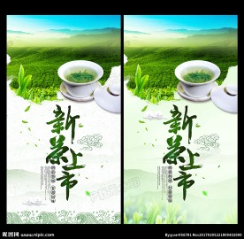 新茶上市